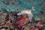 20111219_Padangbai_BlueLagoon_0041.jpg