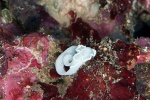 20111219_Padangbai_BlueLagoon_0048.jpg