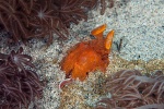 20111219_Padangbai_BlueLagoon_0050.jpg
