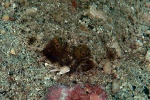 20111219_Padangbai_Turtleneck_0022.jpg